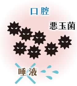 口腔内が乾燥し悪玉菌が繁殖しやすい