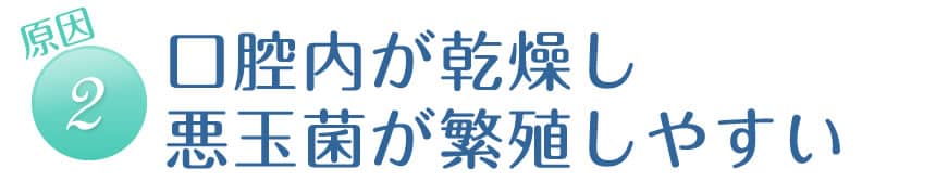 【原因２】口が乾燥し悪玉菌が繁殖しやすい。