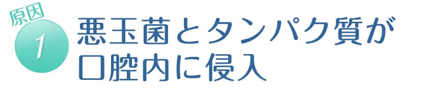 【原因1】悪玉菌とタンパク質が浸入