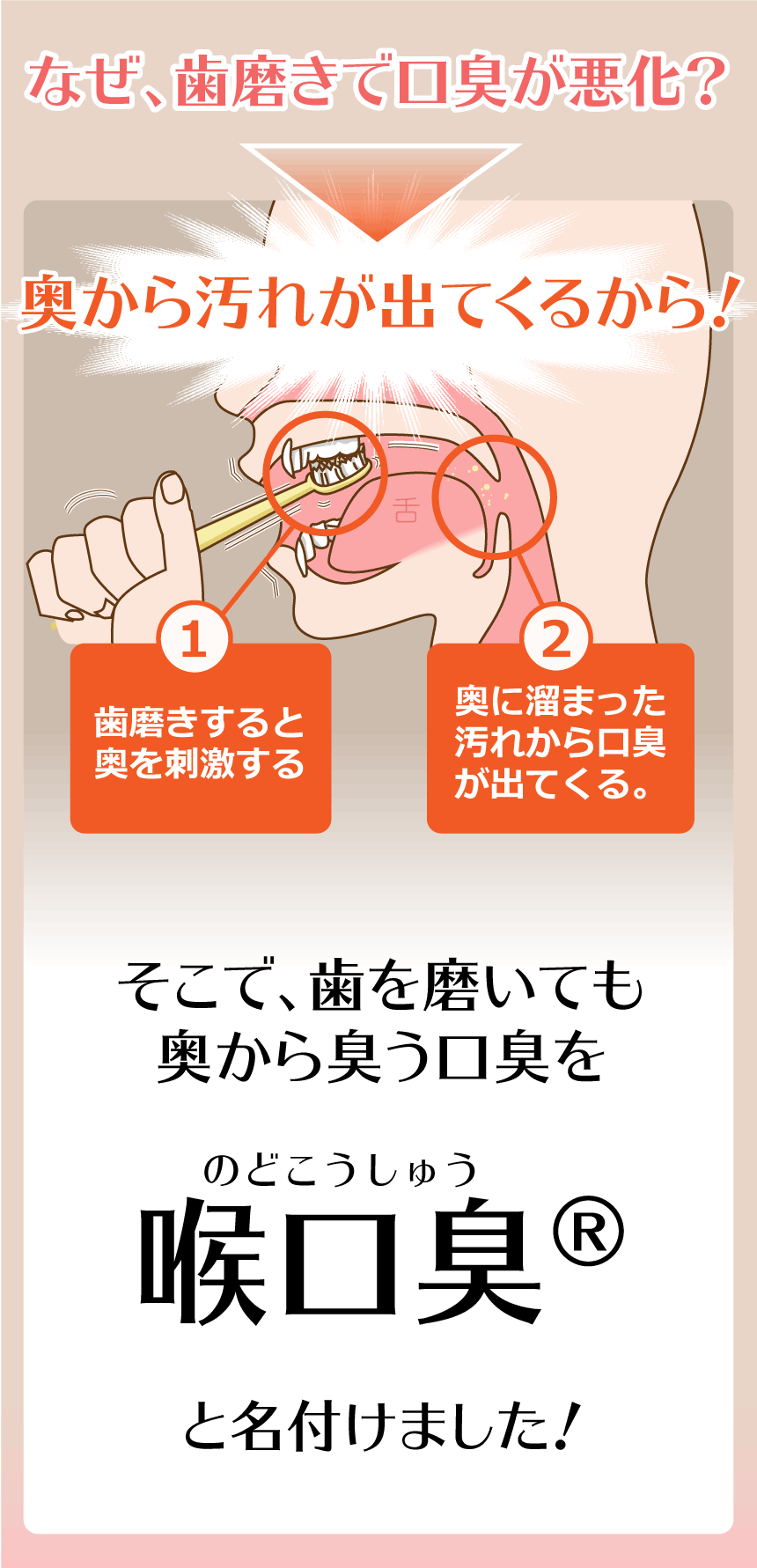 歯磨きをしたのに何故？それは・・・